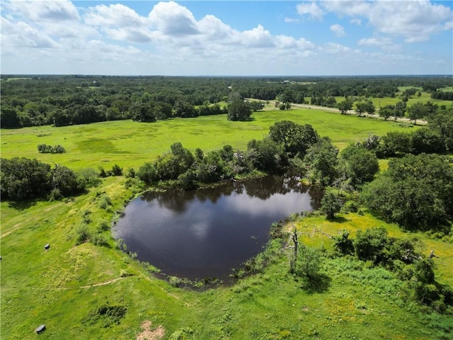 10271 Fm 111, Caldwell, TX 77836 - photo 2