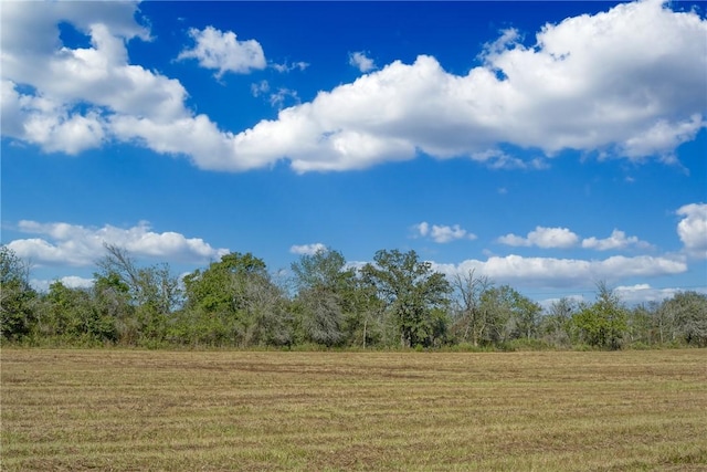 Listing photo 3 for LOT8 County Rd 229, Bedias TX 77831