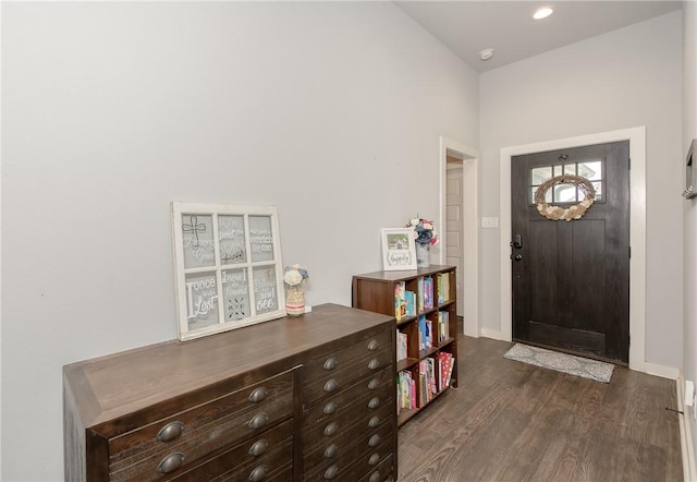 entrance foyer featuring dark wood-type flooring