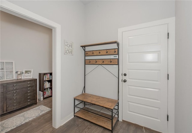 entrance foyer featuring dark hardwood / wood-style flooring