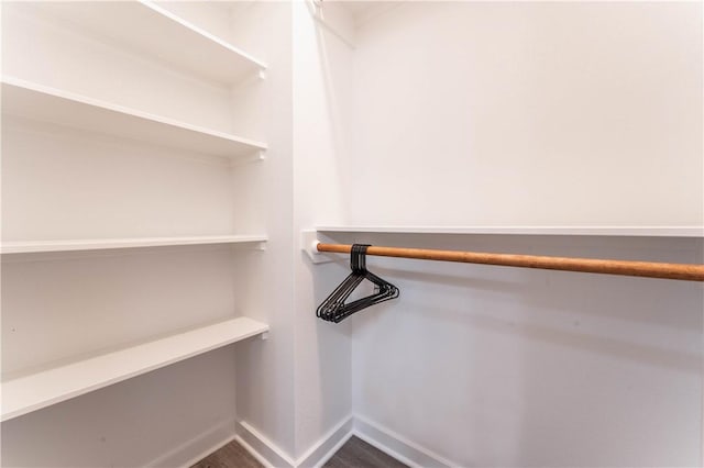 spacious closet featuring hardwood / wood-style flooring