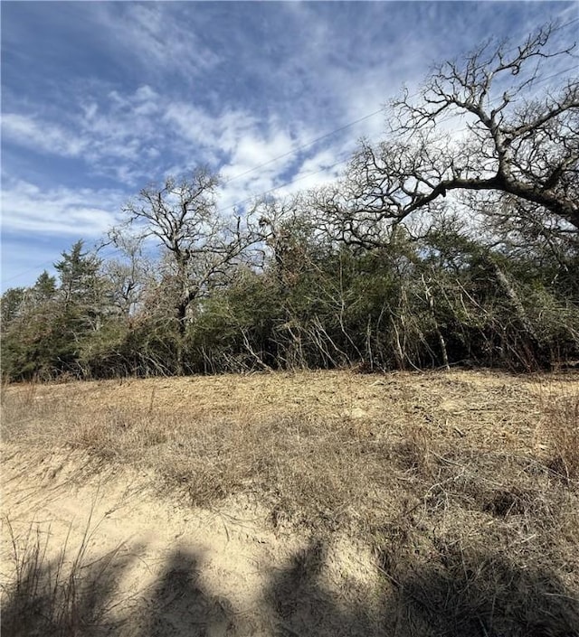 Listing photo 3 for TBD Oaks Dr, Caldwell TX 77836