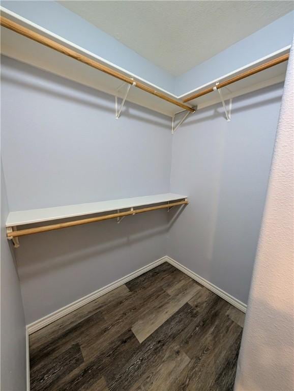 walk in closet with dark wood-type flooring