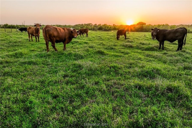 20751 Fm 1155 E, Washington, TX 77880