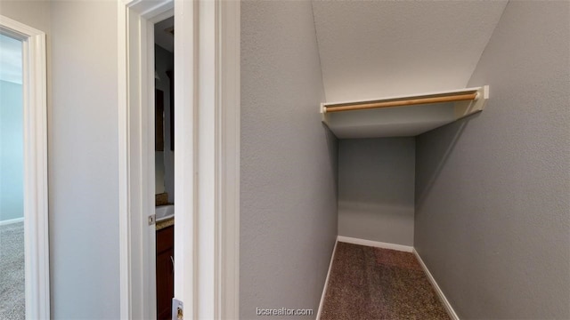 spacious closet featuring carpet flooring