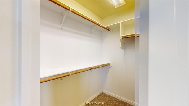 walk in closet featuring carpet