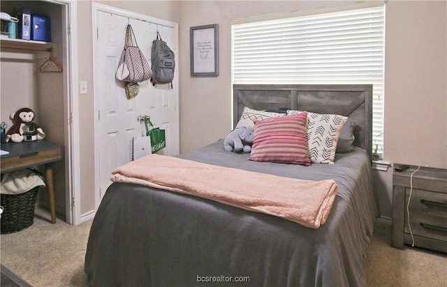 202 Forest Dr, College Station, TX 77840 - bedroom with carpet and a closet