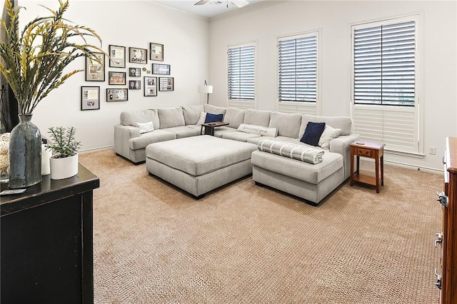 living room featuring light carpet, baseboards, and crown molding