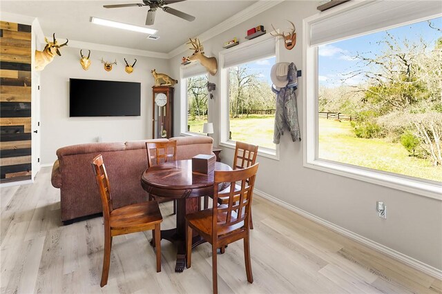 dining area featuring a ceiling fan, light wood-style flooring, baseboards, and crown molding