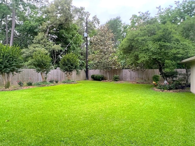 view of yard