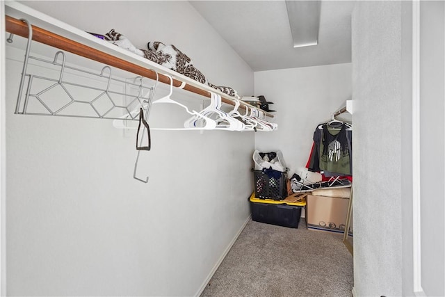 5205 Sagewood Dr, College Station, TX 77845 - photo 7
