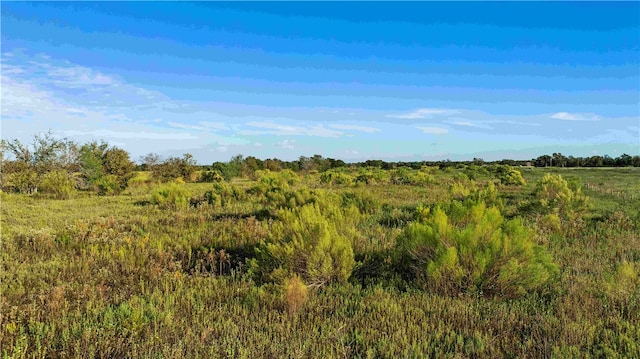 TBD County Road 216, Caldwell, TX 77836 - photo 19