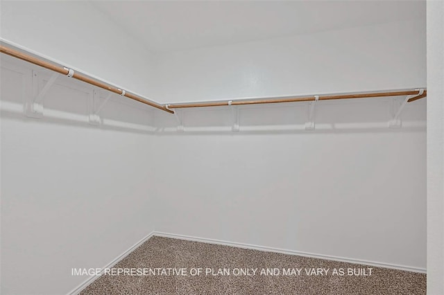 103 Comal Dr, Huntsville, TX 77340 - walk in closet featuring carpet flooring