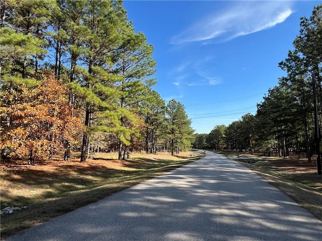 1142 Fletcher, Anderson, TX 77830 - view of asphalt street