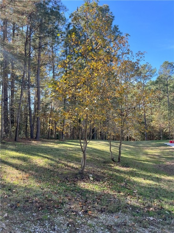 1142 Fletcher, Anderson, TX 77830 - view of green lawn featuring a view of trees
