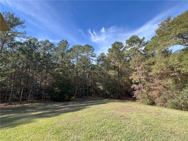 1142 Fletcher, Anderson, TX 77830 - view of grassy yard with a wooded view