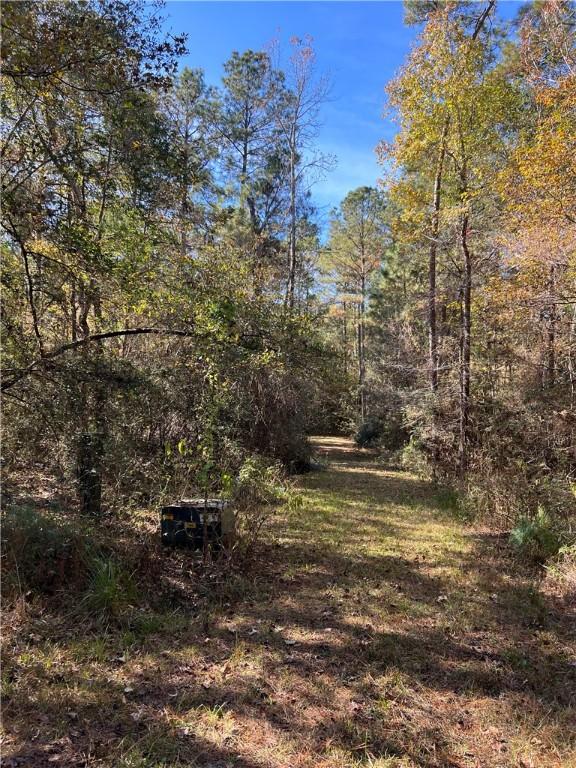 1142 Fletcher, Anderson, TX 77830 - view of yard featuring a forest view