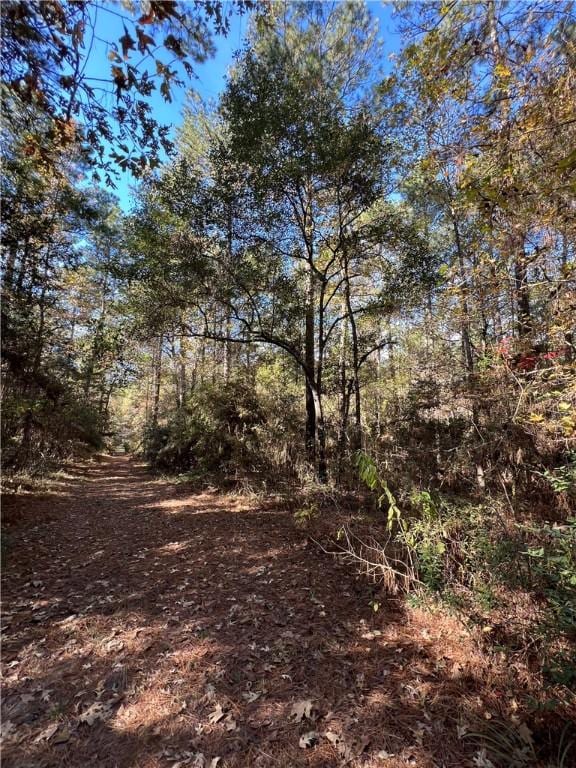 1142 Fletcher, Anderson, TX 77830 - view of nature