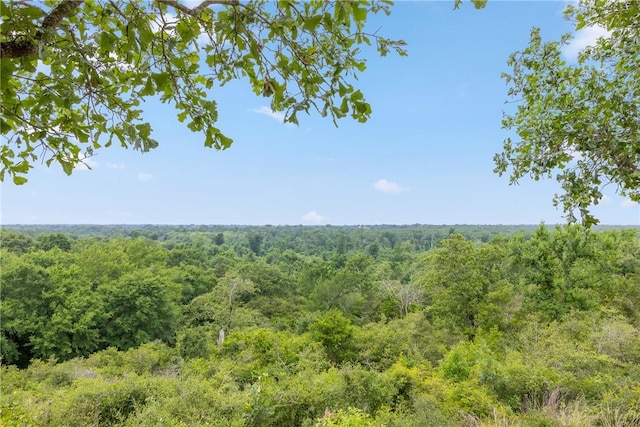 4732 W US Highway 79, Franklin, TX 77856 - photo 37
