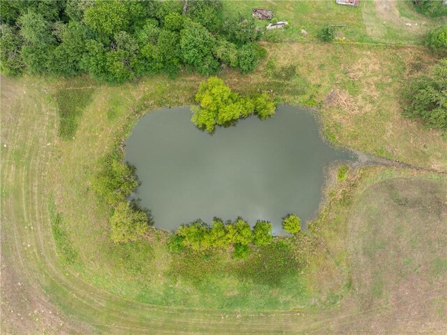 4732 W US Highway 79, Franklin, TX 77856 - photo 48