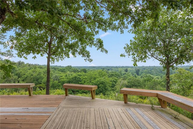 4732 W US Highway 79, Franklin, TX 77856 - photo 35