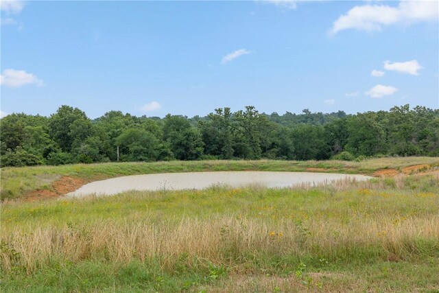 4732 W US Highway 79, Franklin, TX 77856 - photo 40