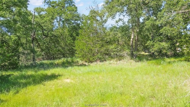 TBD Woodvine Ln, Somerville TX, 77879 land for sale