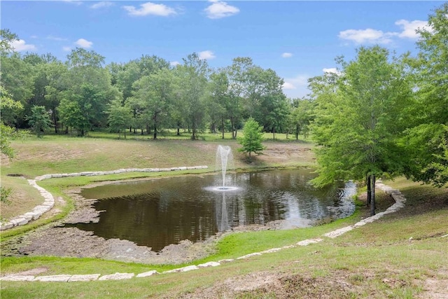 10223 Cambridge Dr, Iola, TX 77861