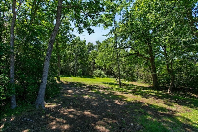 view of landscape