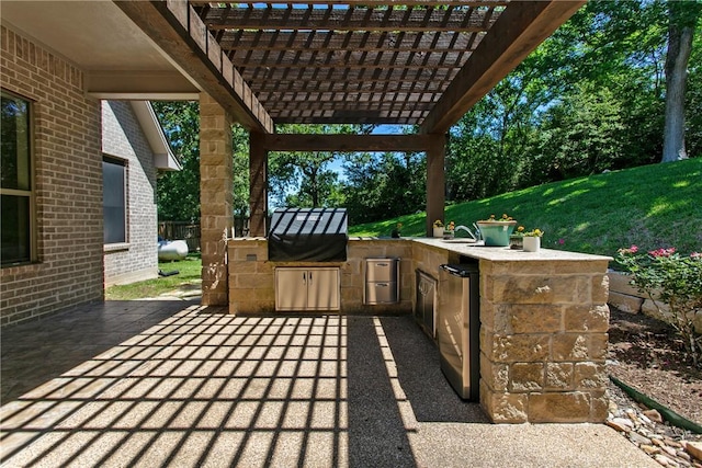 view of patio / terrace with an outdoor kitchen and a pergola