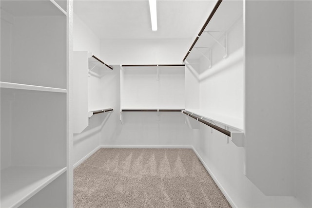 spacious closet featuring light colored carpet