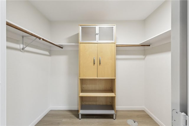 3012 Monument Dr, Round Rock, TX 78681 - walk in closet featuring light wood-type flooring
