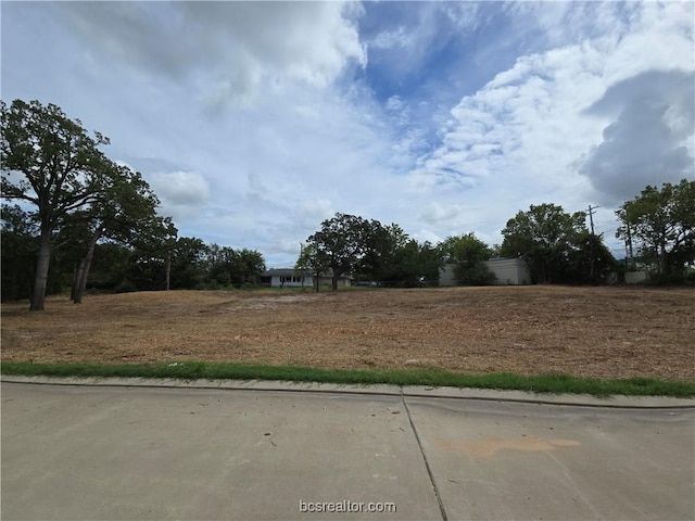 tbd Brook Lane, Bryan, TX 77802 - photo 8
