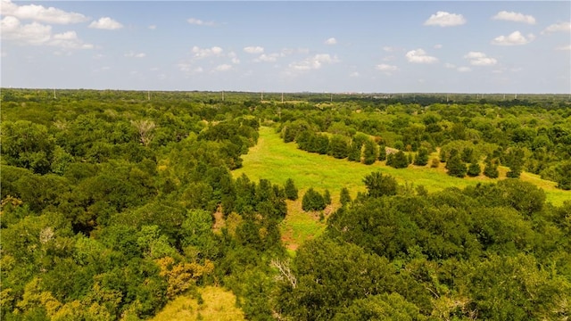 TBD Leonard, Bryan, TX 77807 - photo 16