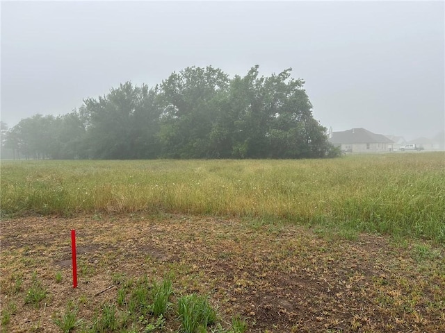 10474 Whiskey River Rd, Bryan, TX 77808 - view of yard