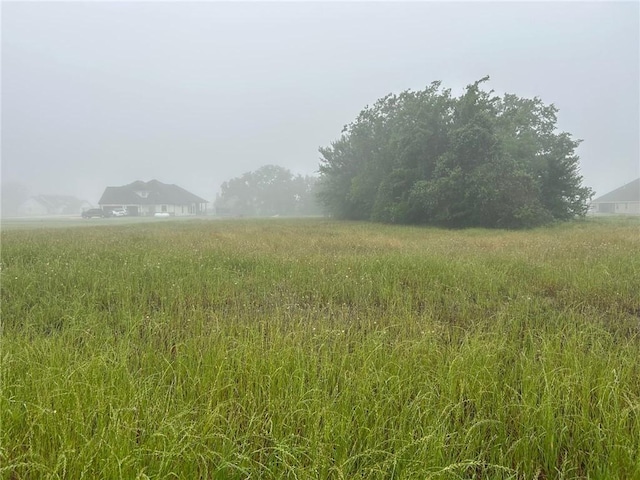 10474 Whiskey River Rd, Bryan, TX 77808 - view of landscape