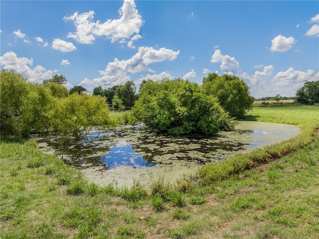 4450 Greenbriar Rd, Madisonville, TX 77864 - photo 27
