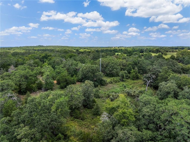TBD(Lot12) Cedar Creek Road, Caldwell, TX 77836 - photo 11