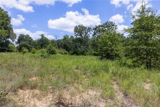 TBD(Lot12) Cedar Creek Road, Caldwell, TX 77836 - photo 7