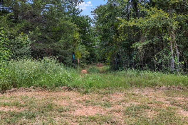 TBD(Lot12) Cedar Creek Road, Caldwell, TX 77836 - photo 4