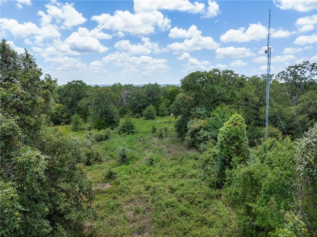 TBD(Lot12) Cedar Creek Road, Caldwell, TX 77836 - photo 10