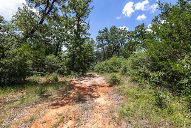 TBD(Lot12) Cedar Creek Road, Caldwell, TX 77836 - photo 5