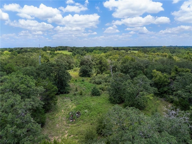 TBD(Lot12) Cedar Creek Road, Caldwell, TX 77836 - photo 9