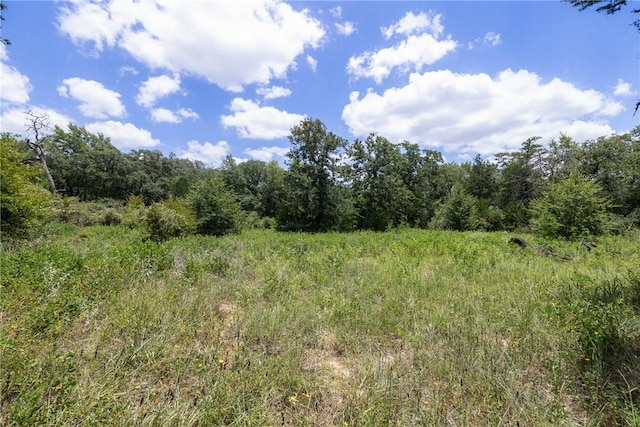 TBD(Lot12) Cedar Creek Road, Caldwell, TX 77836 - photo 8
