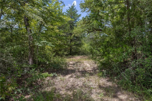 TBD(Lot12) Cedar Creek Road, Caldwell, TX 77836 - photo 6