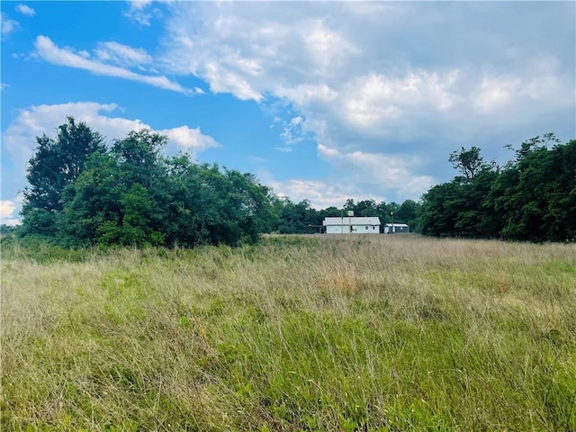 1692 Henry Prairie Rd, Franklin, TX 77856 - view of wooded area