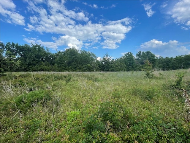 1692 Henry Prairie Rd, Franklin, TX 77856 - view of nature