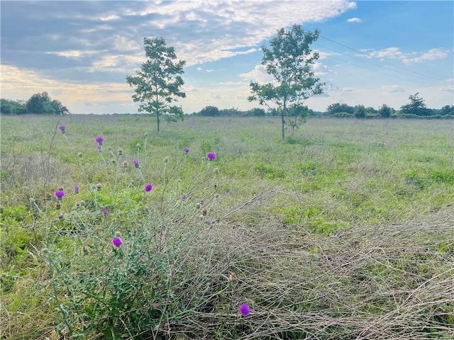 1692 Henry Prairie Rd, Franklin, TX 77856 - view of yard with a rural view