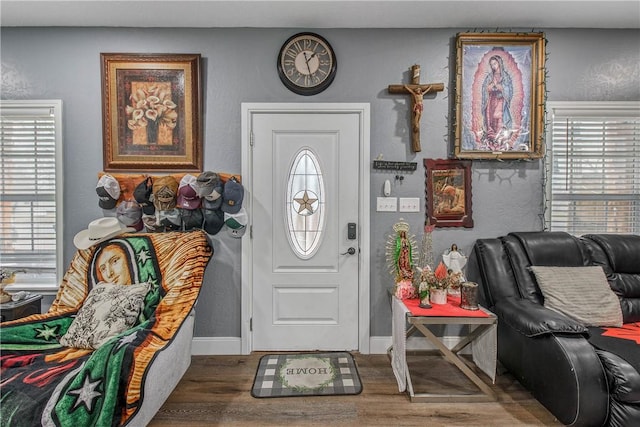 foyer entrance with dark hardwood / wood-style flooring and plenty of natural light