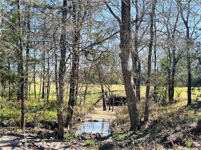 view of local wilderness featuring a view of trees